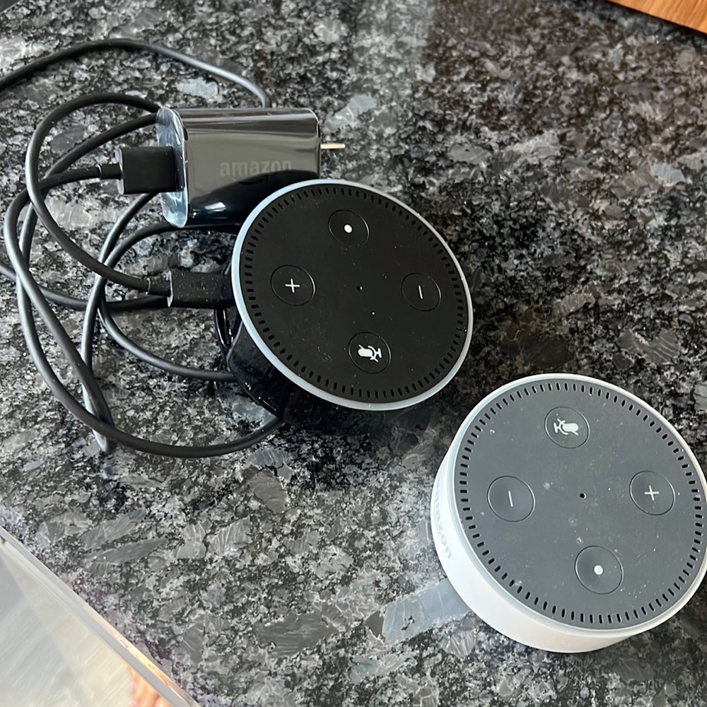 2 Echo dots, one missing charger